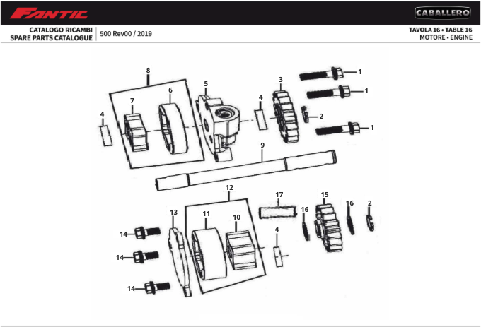 pqUWObn9og_16 - Moteur (CABALLERO 500 FLAT TRACK).png